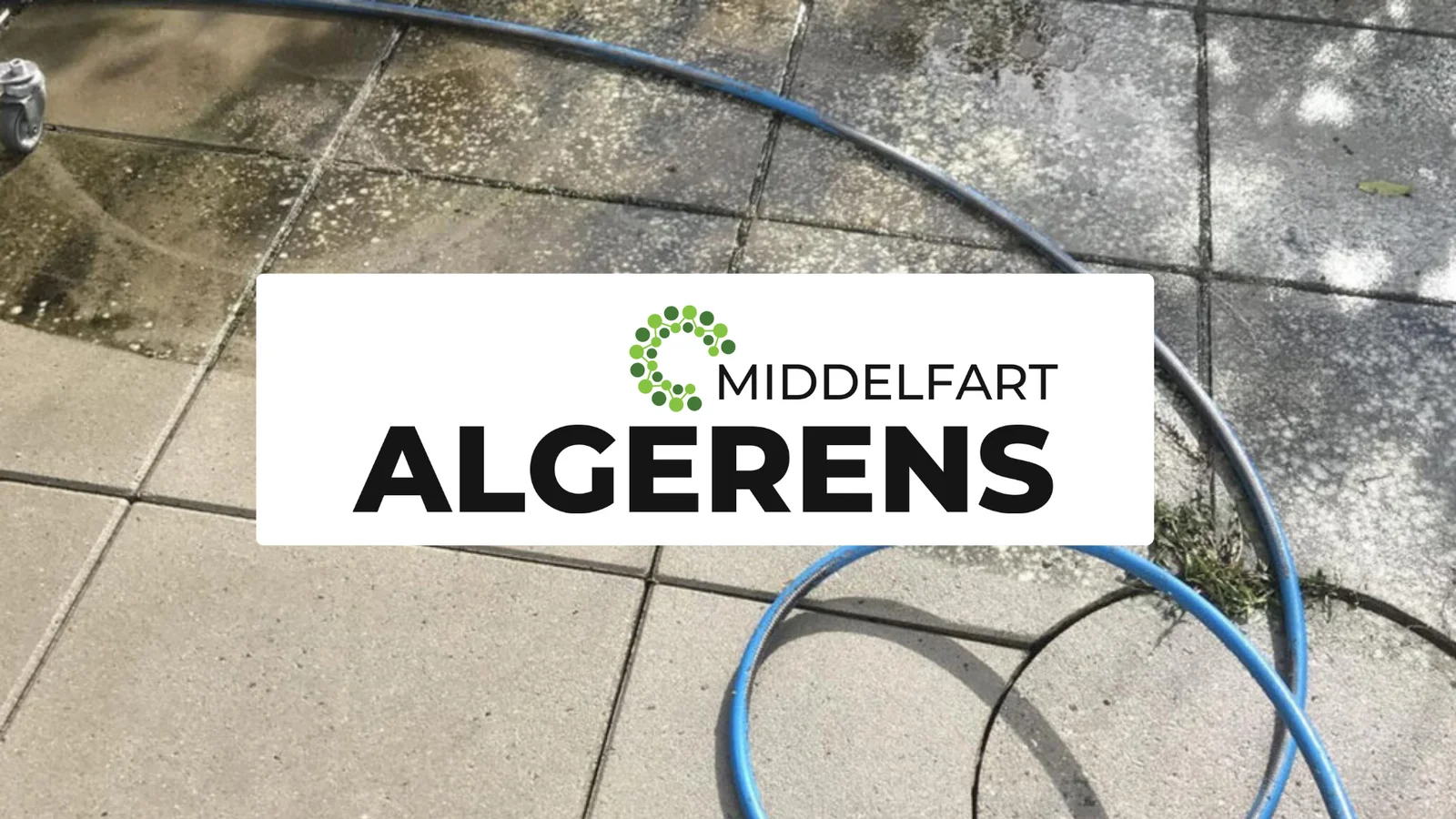 Middelfart Algerens