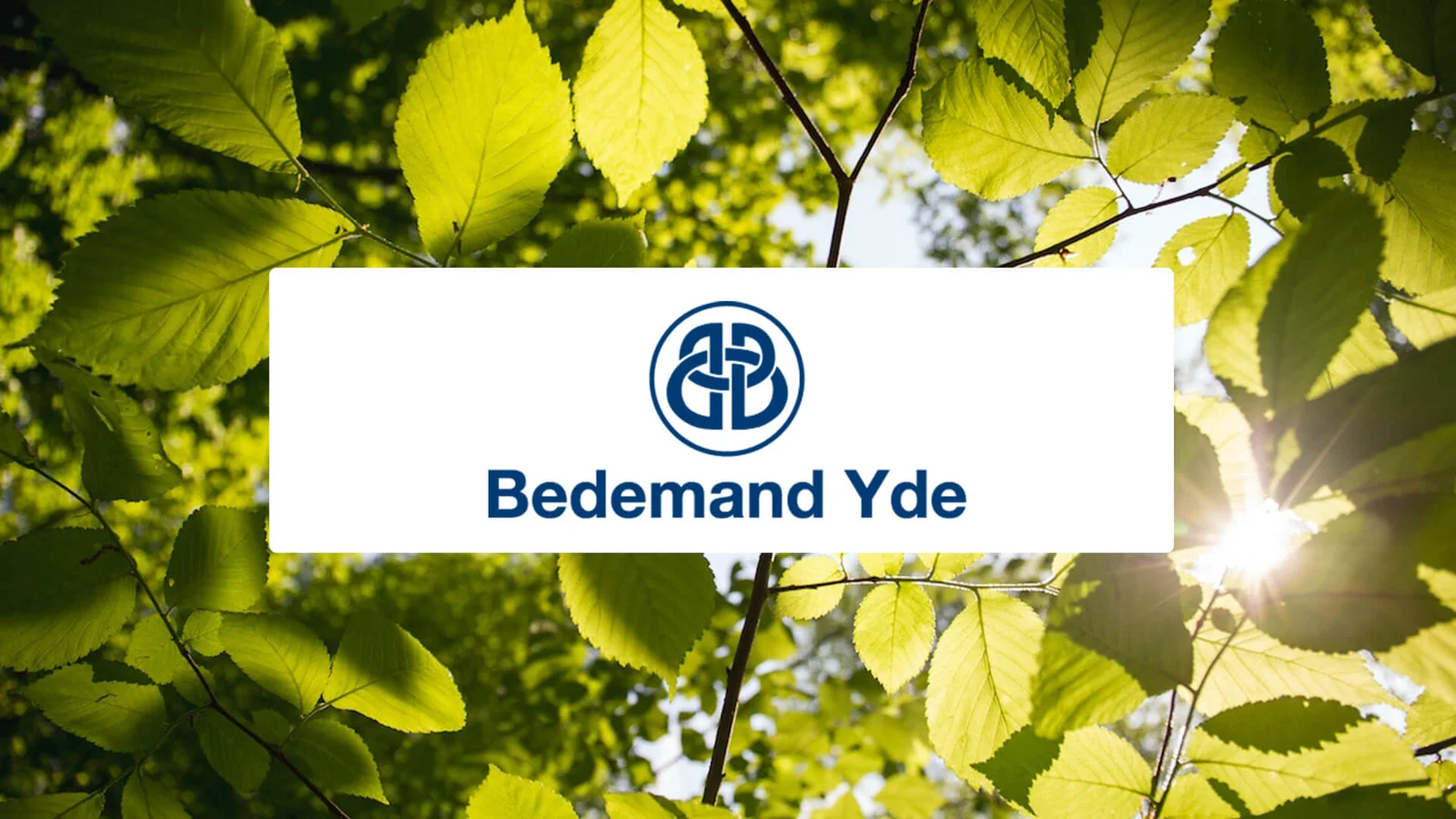 Bedemand Yde