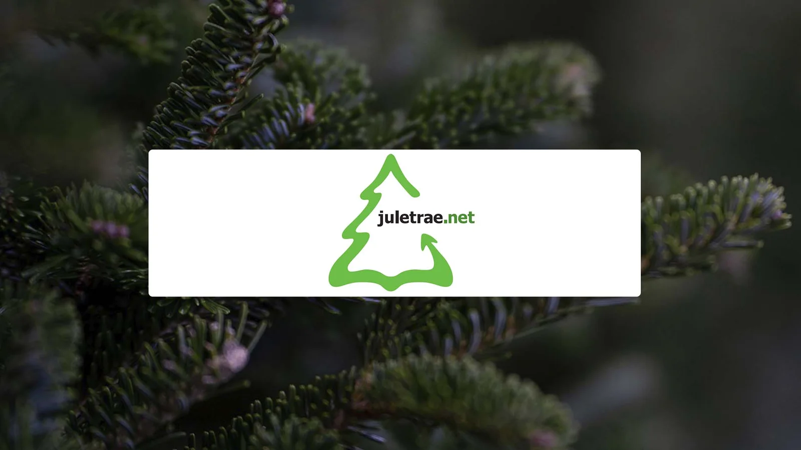 Juletrae.net
