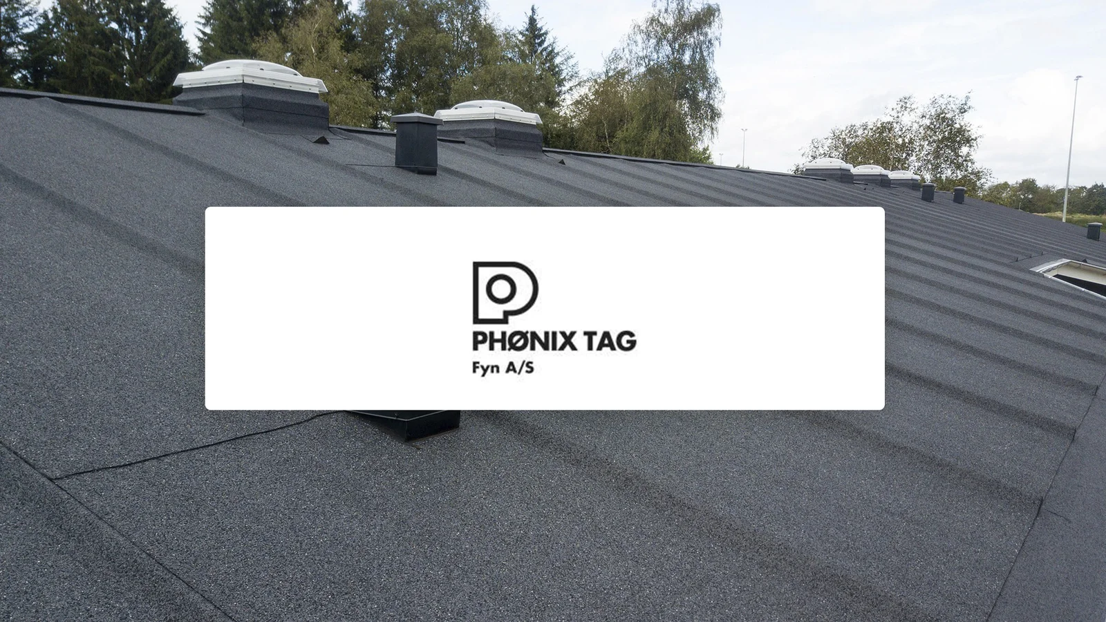 Phønix Tag Fyn