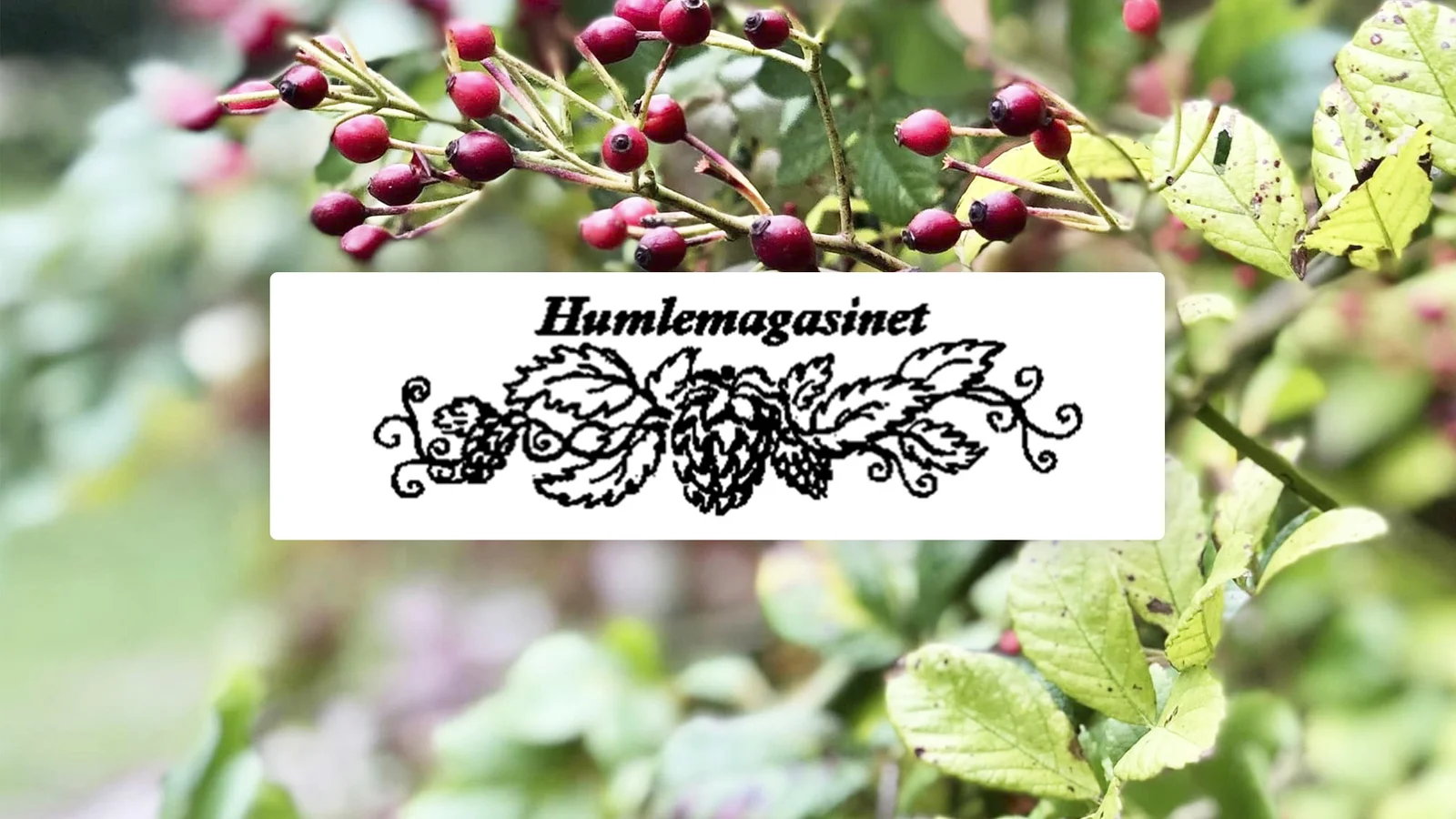 Humlemagasinet