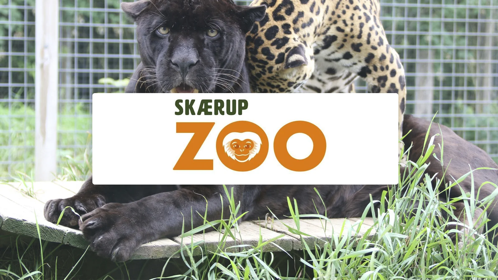 Skærup Zoo