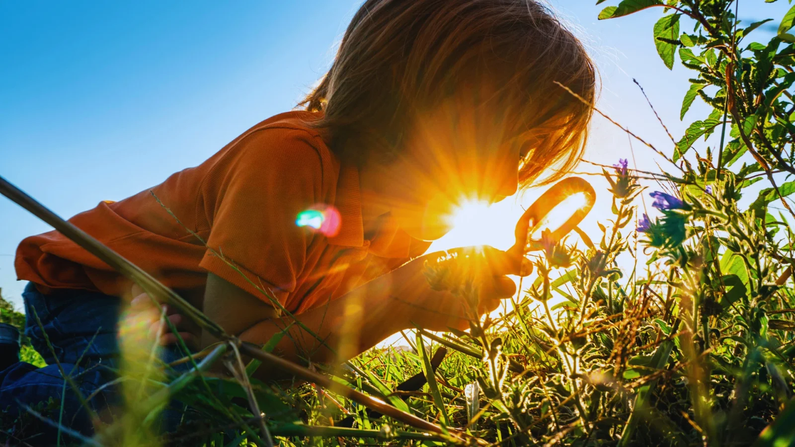 Hvalsafari-naturoplevelse M/S Marianne Aftentur Dansk- Deutsch - English