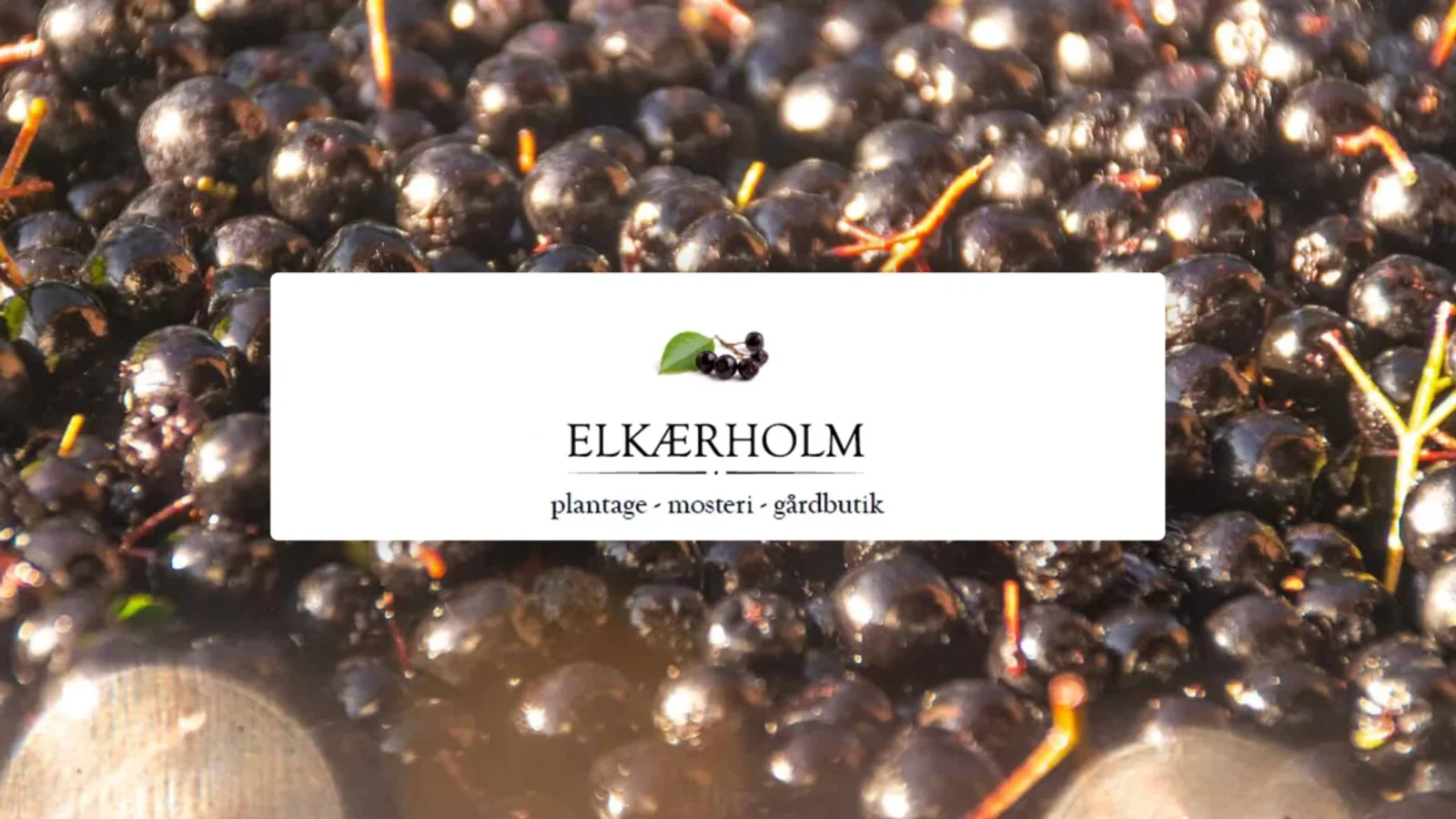 Elkærholm