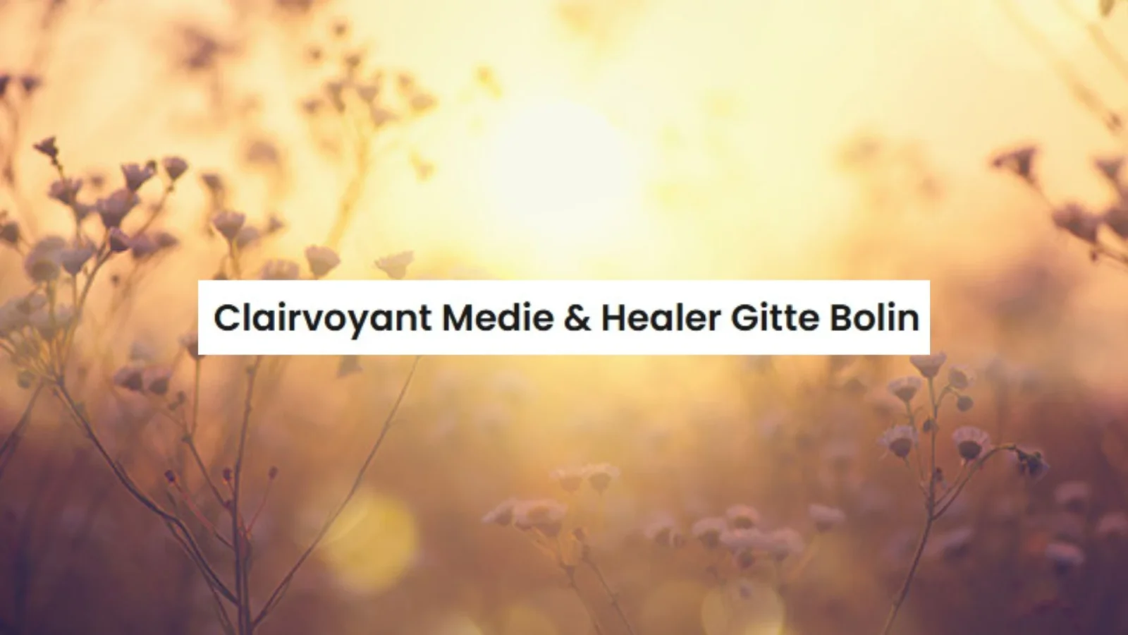 Clairvoyant Medie & Healer Gitte Bolin