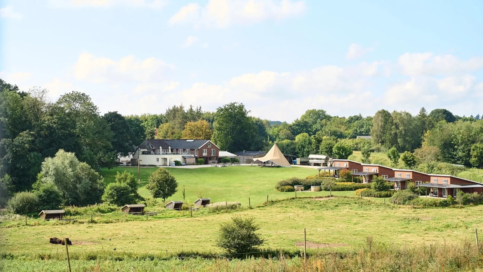 Ditlevsdal Bisonfarm er klar med sommerprogram