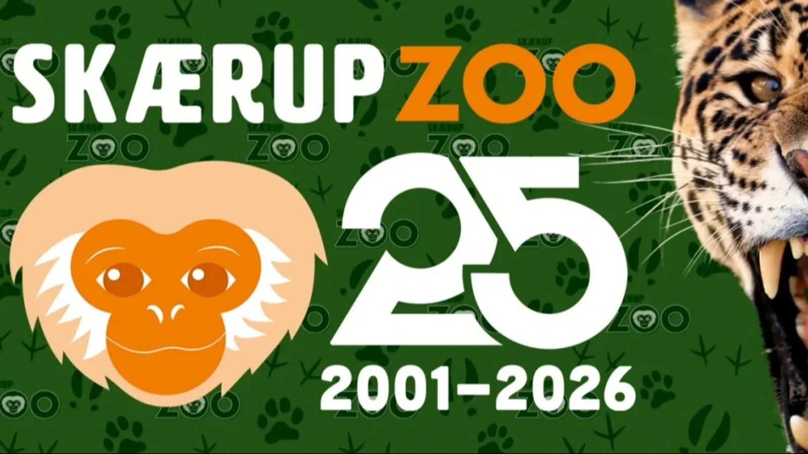 Oplev Skærup Zoo efter lukketid til stemningsfuld aftenvandring