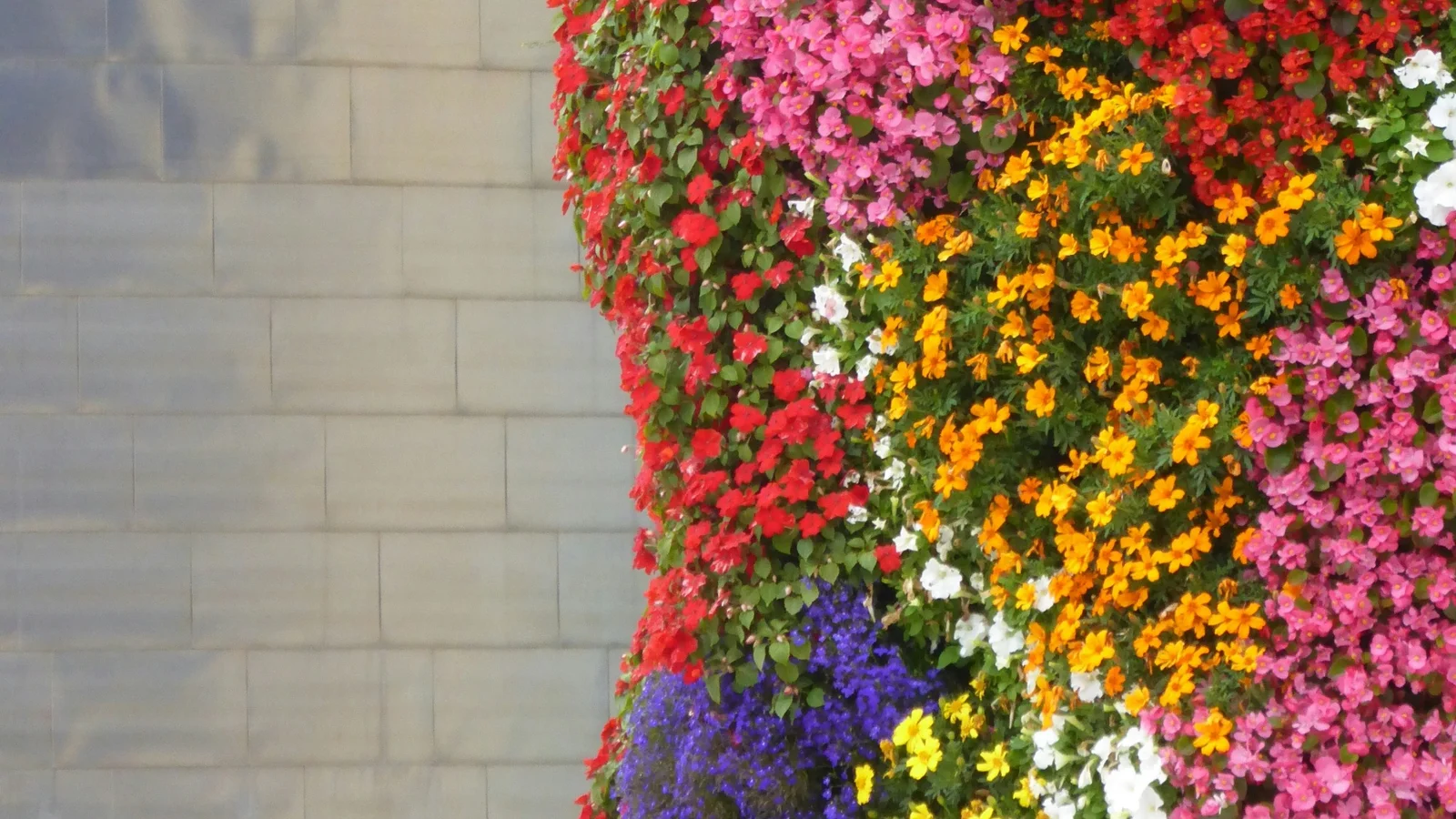 Odense Blomsterfestival