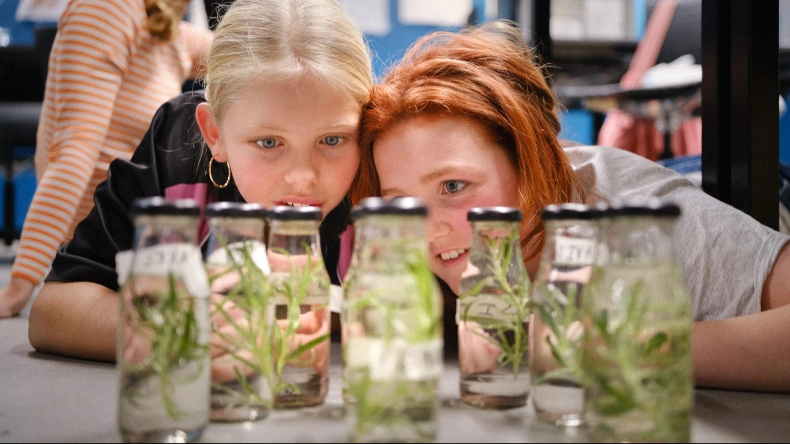 Nyt fritidstilbud: Nu kan børn i Greve gå til videnskab