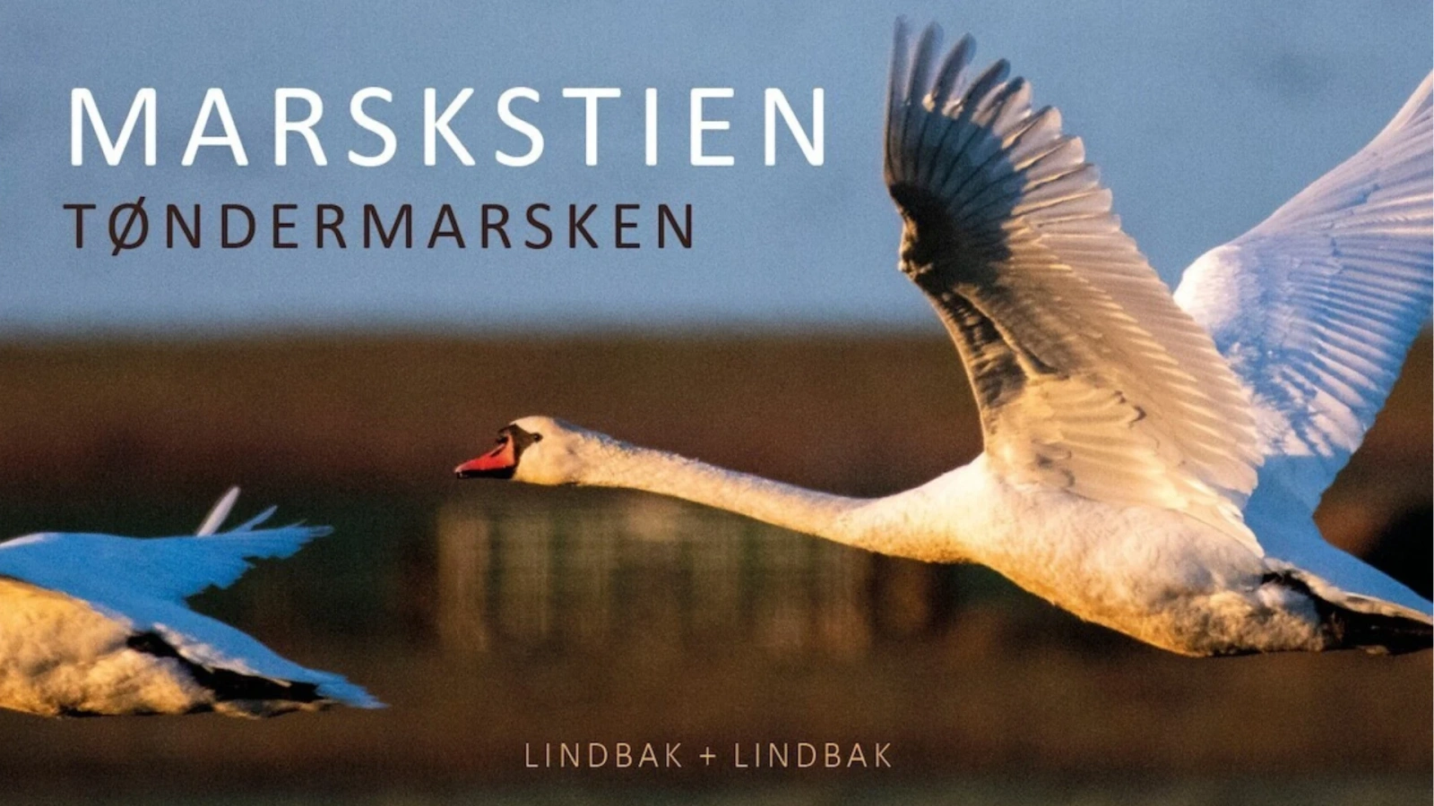 Ny vandrebog om Tøndermarsken skal få danskerne til at opdage det unikke, men lidt oversete område