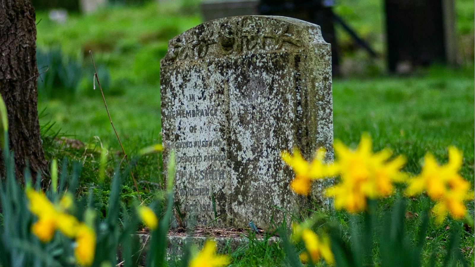Guidet tur: De Dødes By - Historier fra Kolding Gamle Kirkegård