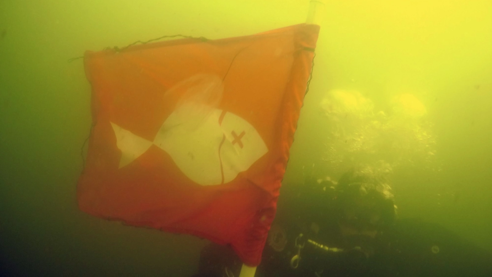 Greenpeace efter ekspedition med røde badeflag for fisk: Vi kan stå overfor en voldsom iltsvindssæson