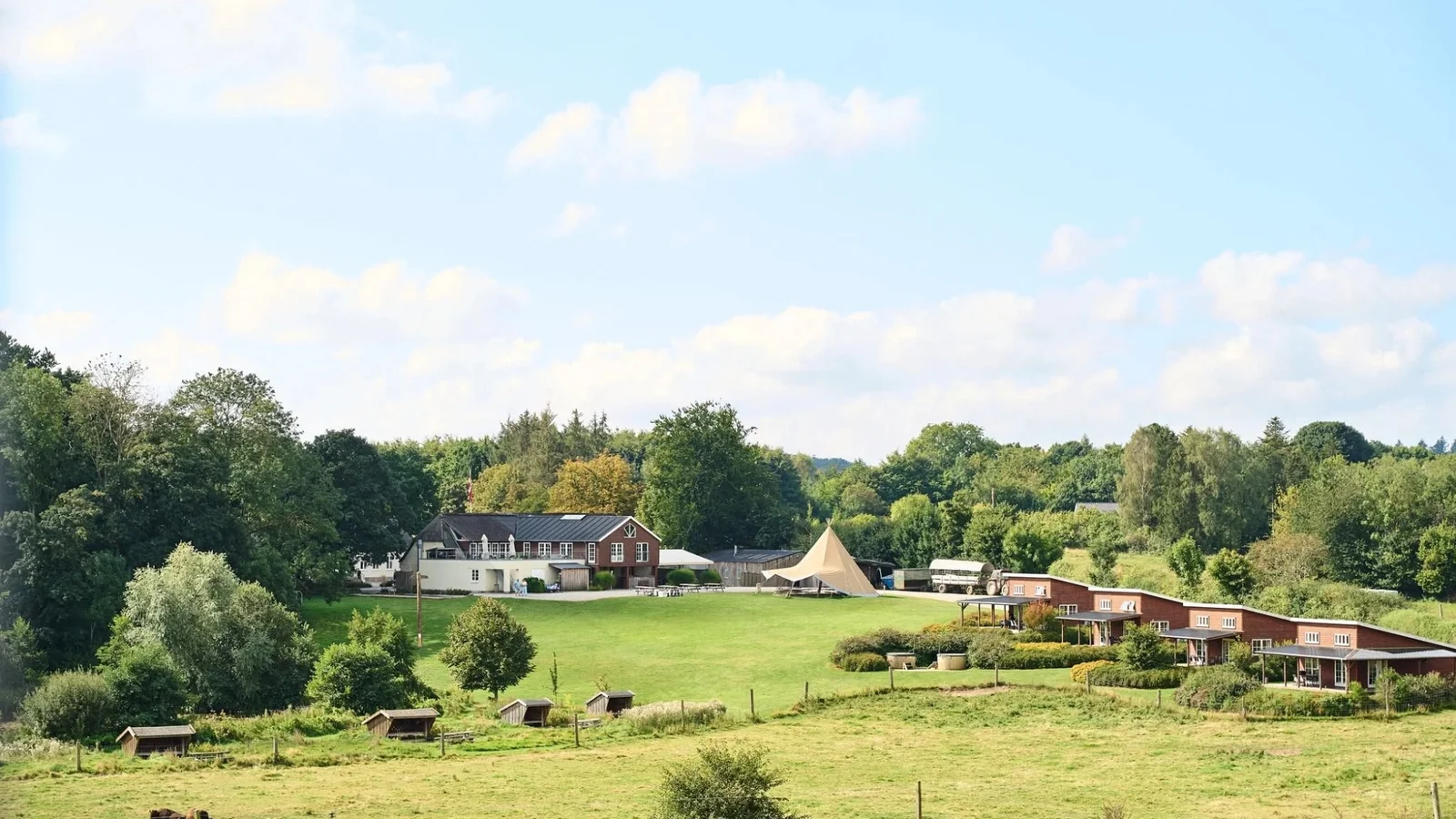 Sidste bisonbrunch hos Ditlevsdal Bisonfarm denne sommer
