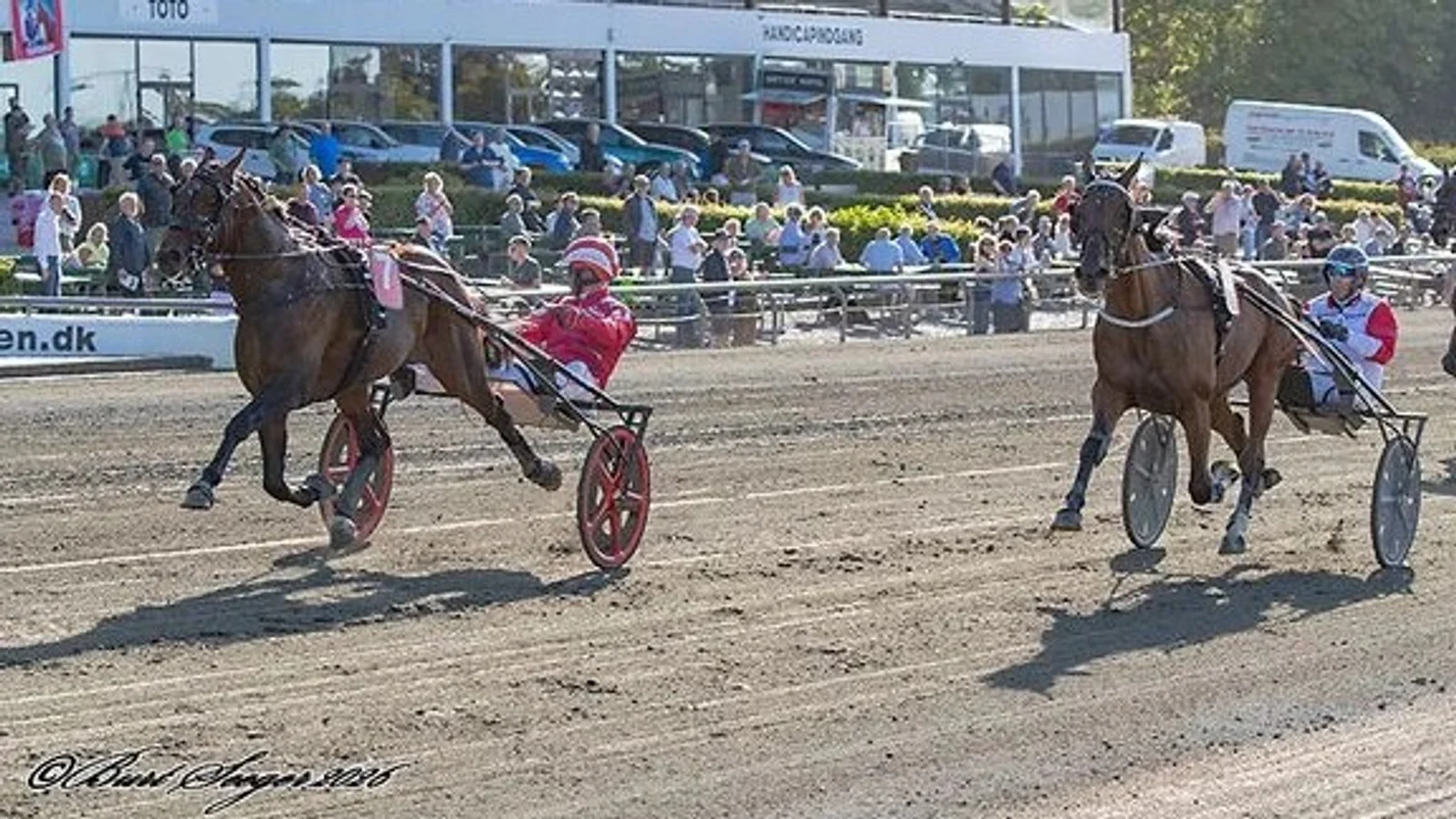Nykøbing-stald deltager med to derbyheste