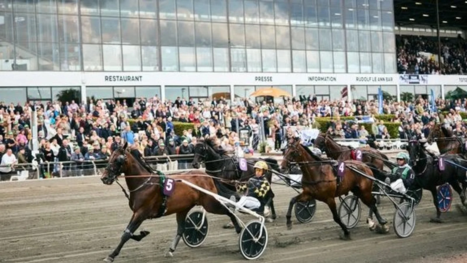 Årets største travfest på Charlottenlund Travbane