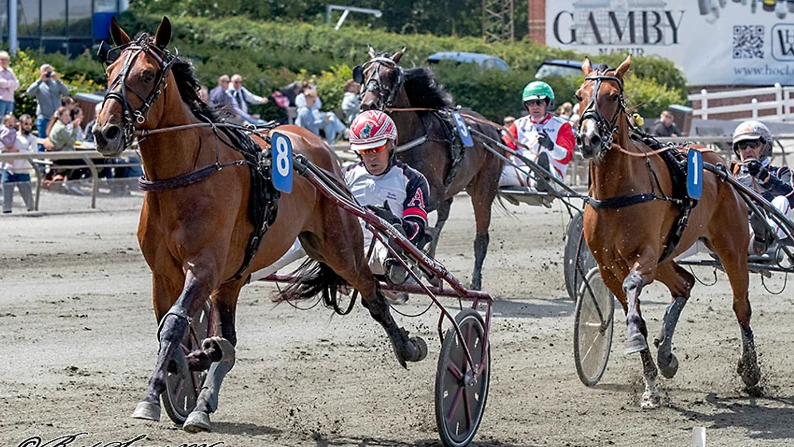 Kvindelig Ringsted-træner tager kampen op mod mændene i Dansk Trav Derby