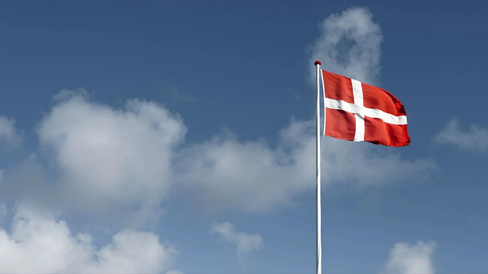 Odense hylder Danmarks udsendte på Flagdagen