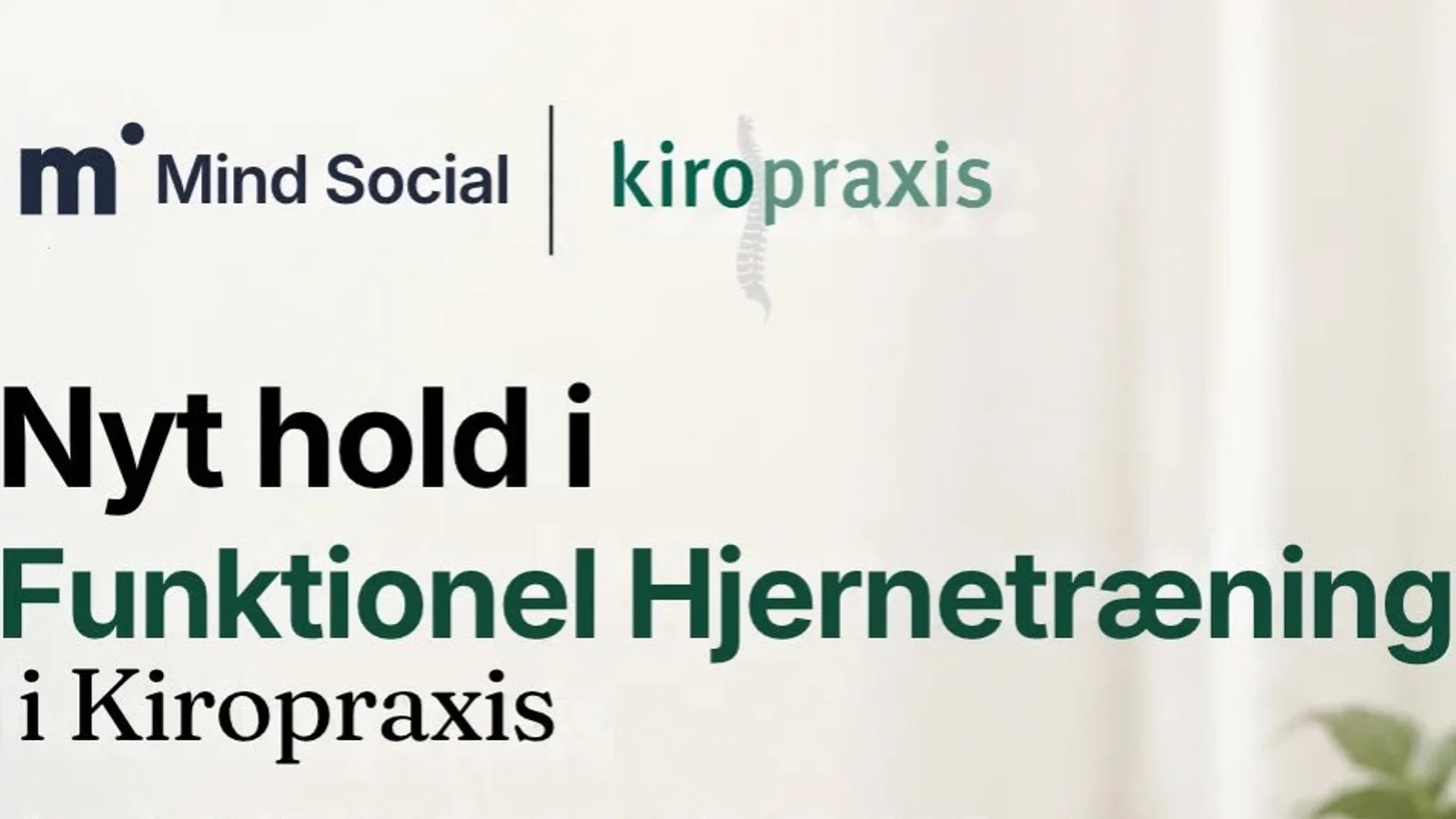 Nyt hold i Funktionel Hjernetræning i Kiropraxis