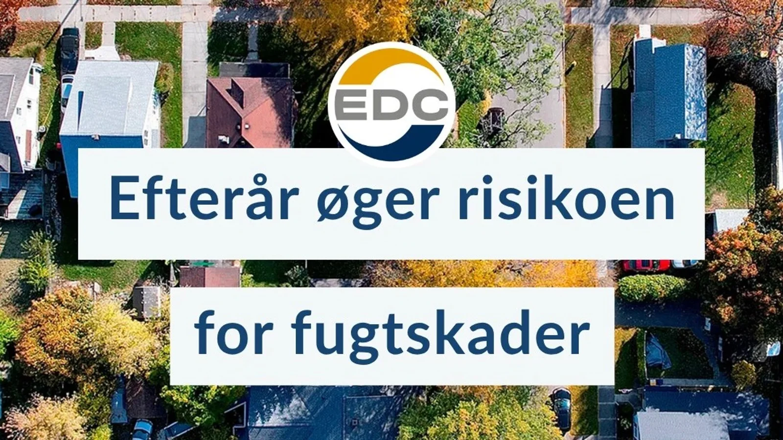 Efteråret øger risikoen for fugt og skimmelsvamp i boligen