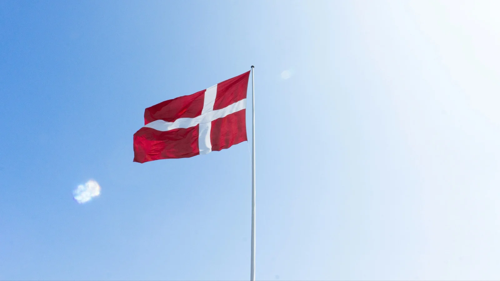 Fjelsted Skov fejrede 50 år med gæster, gensyn og indsamling