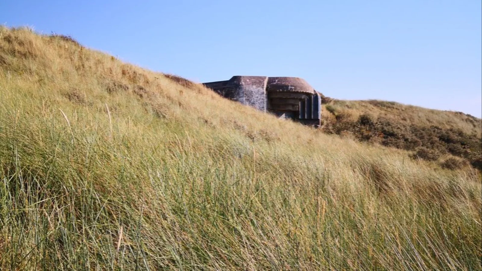 Bunkertur ved Houvigfæstningen med Ringkøbing Fjord Museer (Dansk Guide)