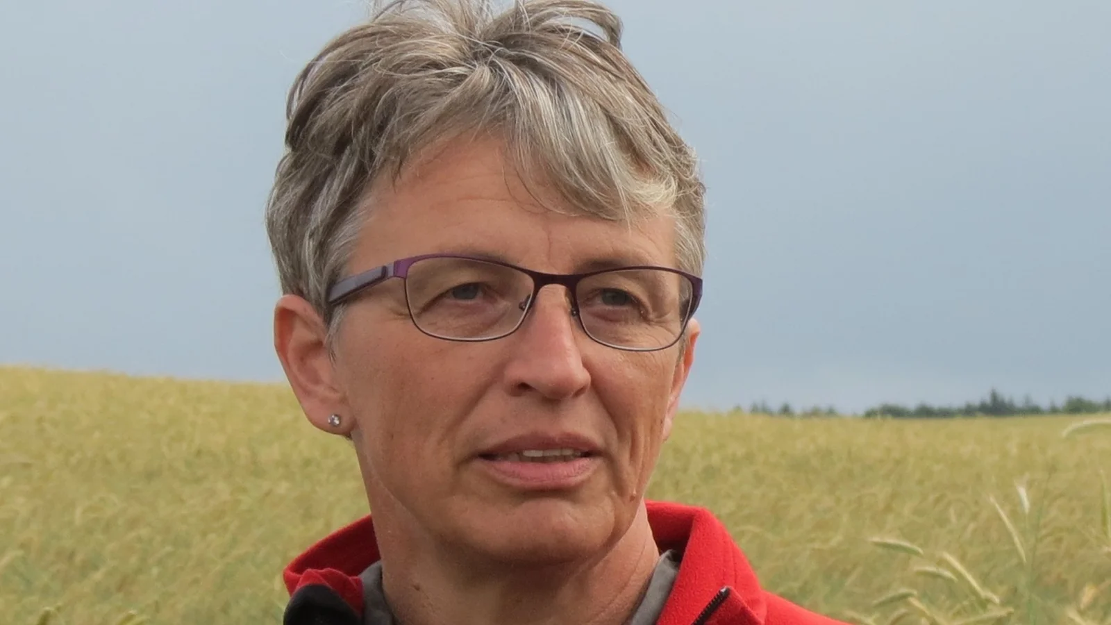 Agronom svarer professor igen: ”Vi mangler dokumentation for miljøgevinsten ved at nedlægge landbrugsjord”
