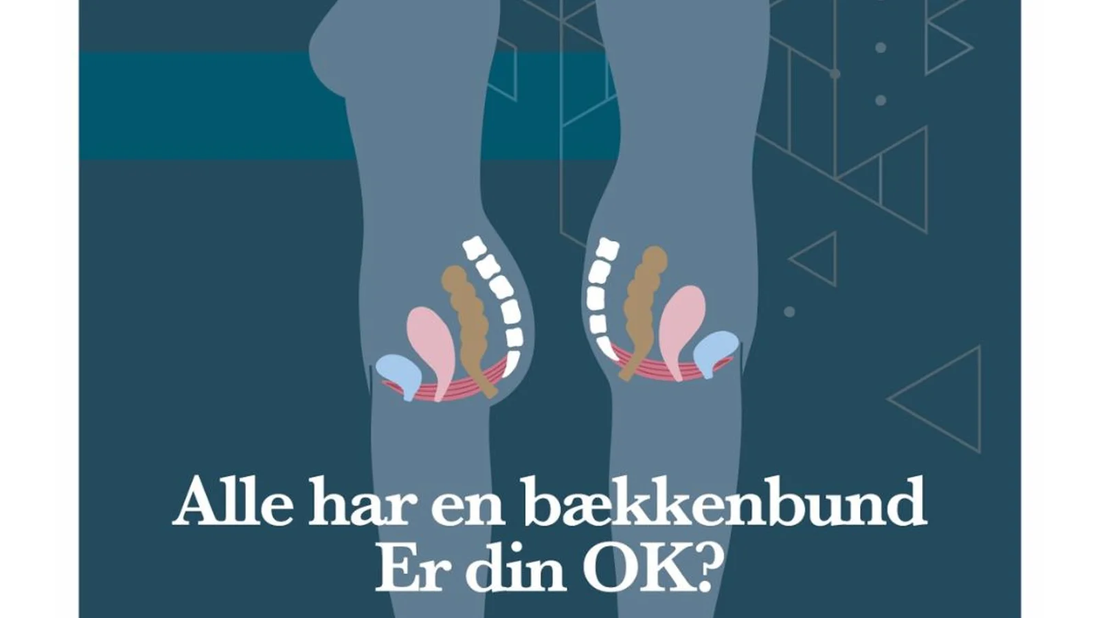 Styrk din bækkenbund nemt og effektivt med MMS-behandlinger