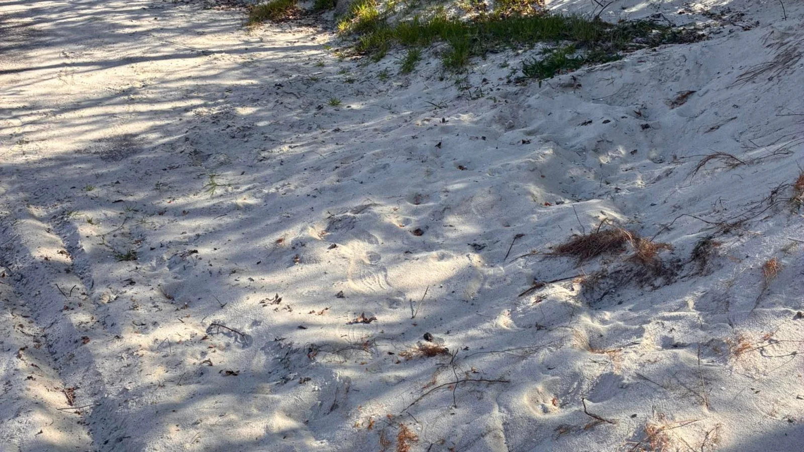 Gratis sand til afhentning hos Lillebælt Sport og Kultur