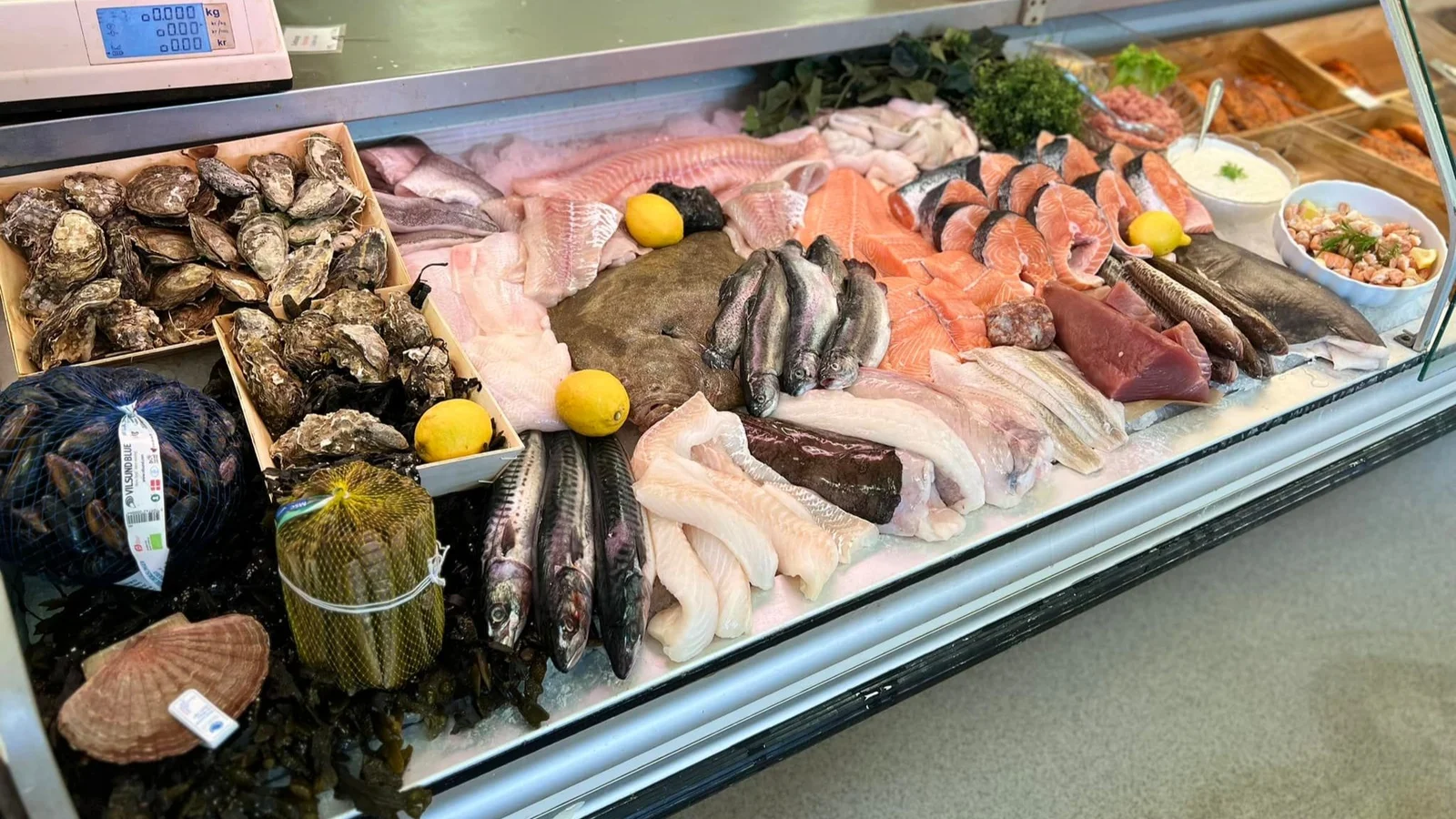 Møllers Fiskehus åbner ny afdeling i Odense til september
