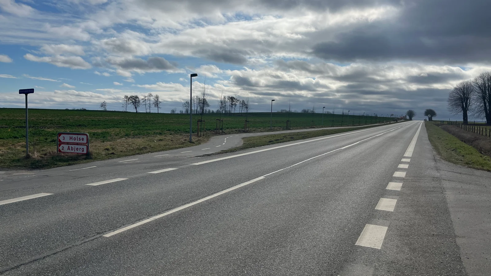 Middelfart Kommune løfter sløret for, hvor de planter nye vejtræer