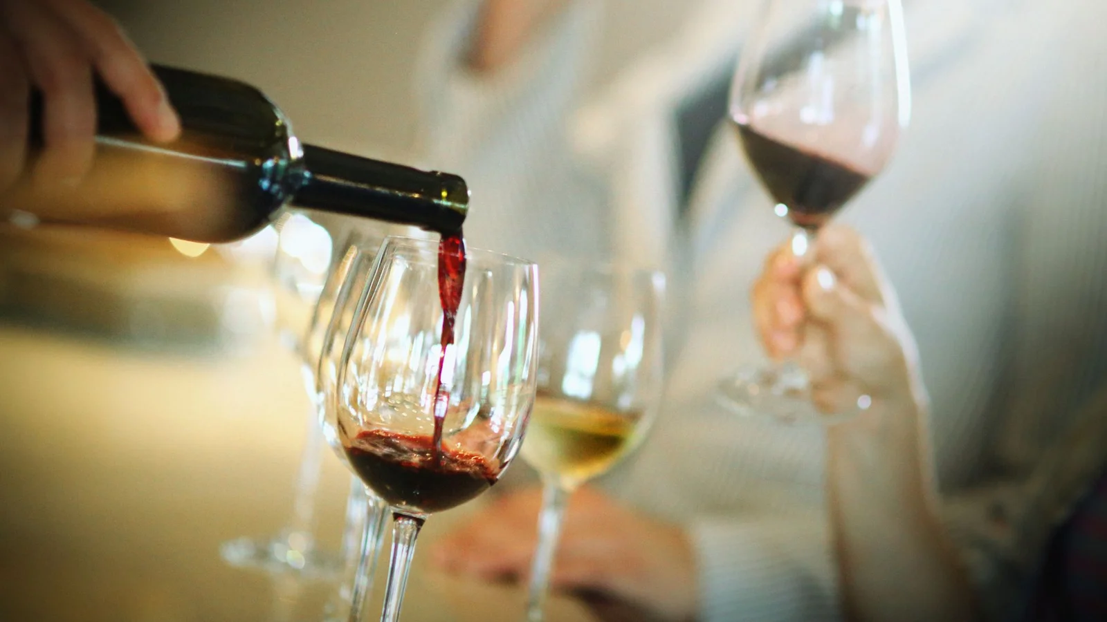 Bliv klogere på vin i Vinspecialisten Middelfarts vinklub