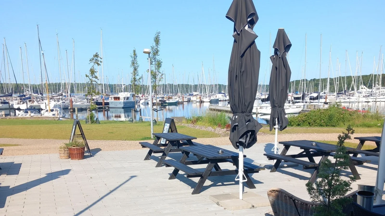 Sommerstemning og studenterfejring på Restaurant Marsvinet
