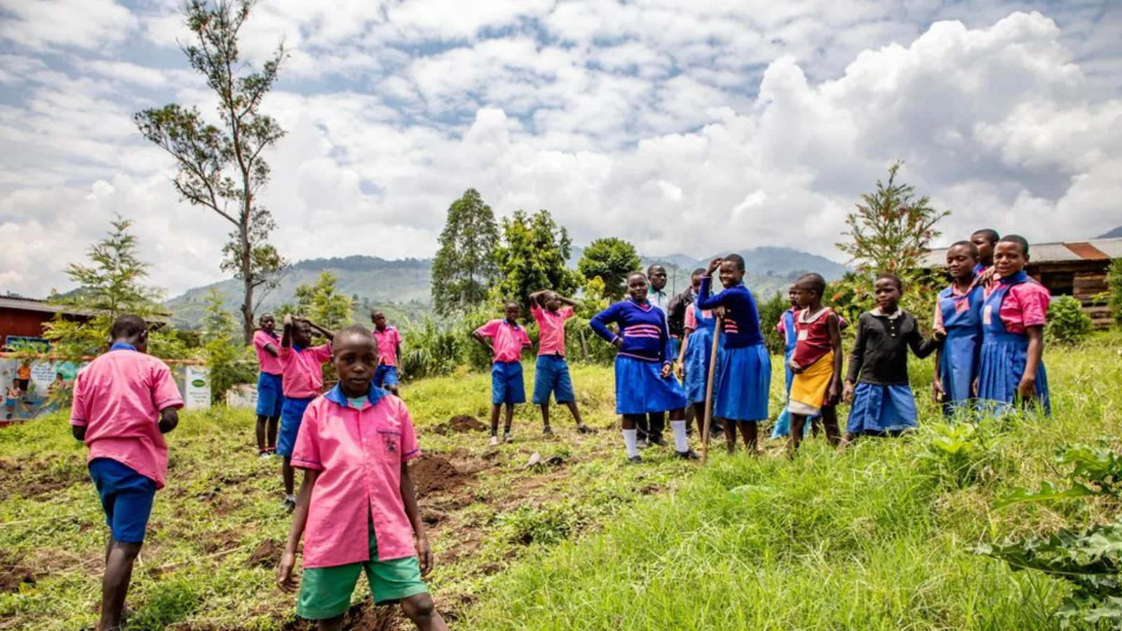 I denne uge planter 1.200 danske skoleklasser træer til støtte for Uganda
