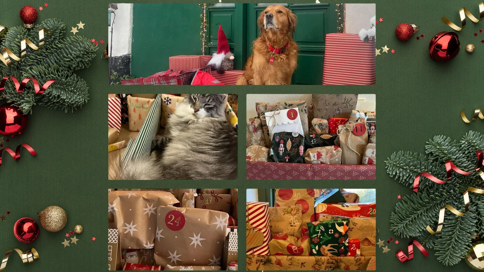 Hent din kæledyrs pakkekalender og kom i julestemning hos Kitt & Ko