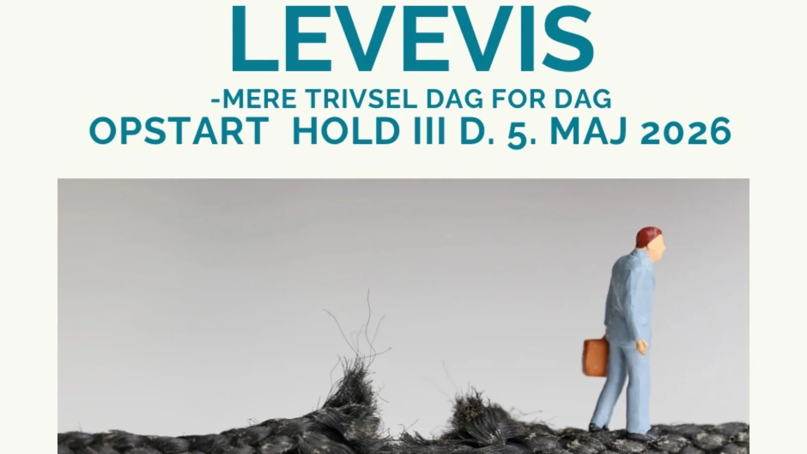 Få mere ro og overskud i hverdagen: LeveVis starter nyt hold og inviterer til informationsmøde