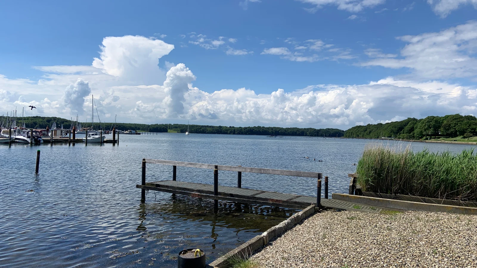 Strandhusene på Middelfart Marina kan nu lejes af kommunens foreninger