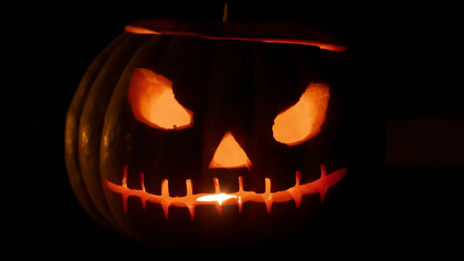 Det Forladte Sommerland byder igen på en uforglemmelig halloween-oplevelse