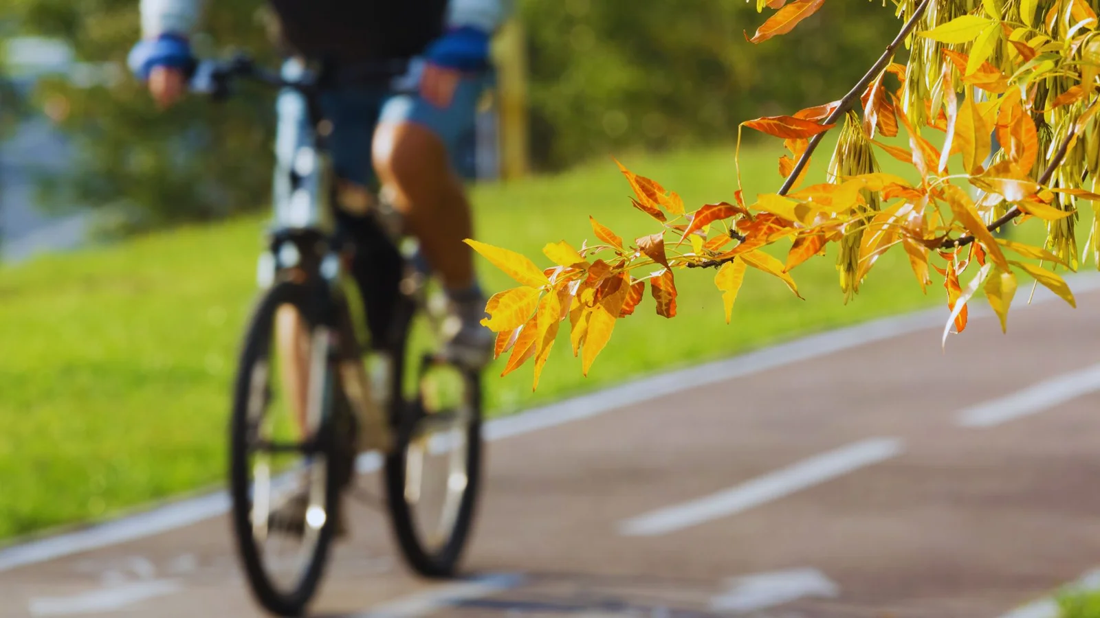 I Assens Kommune har 13 kandidater givet Vejløfte om bedre veje og cykelstier