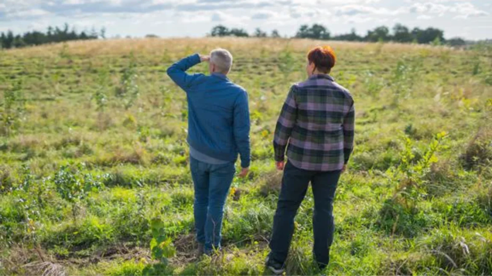 Se kortet: Nye skove skal plantes på Fyn