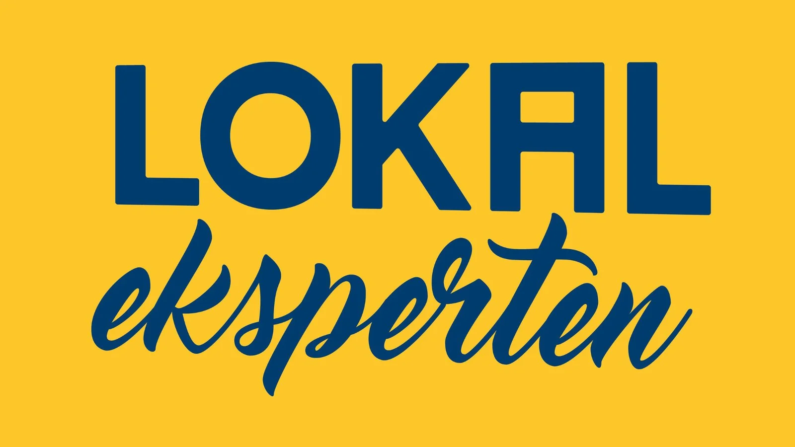Kæde bag lokalt værksted udvider logoet: Bilejerne efterspørger lokal service