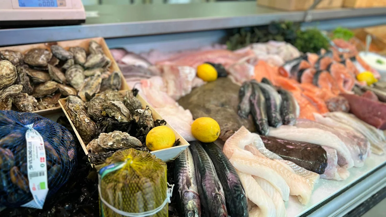 Møllers Fiskehus har fået nye åbningstider