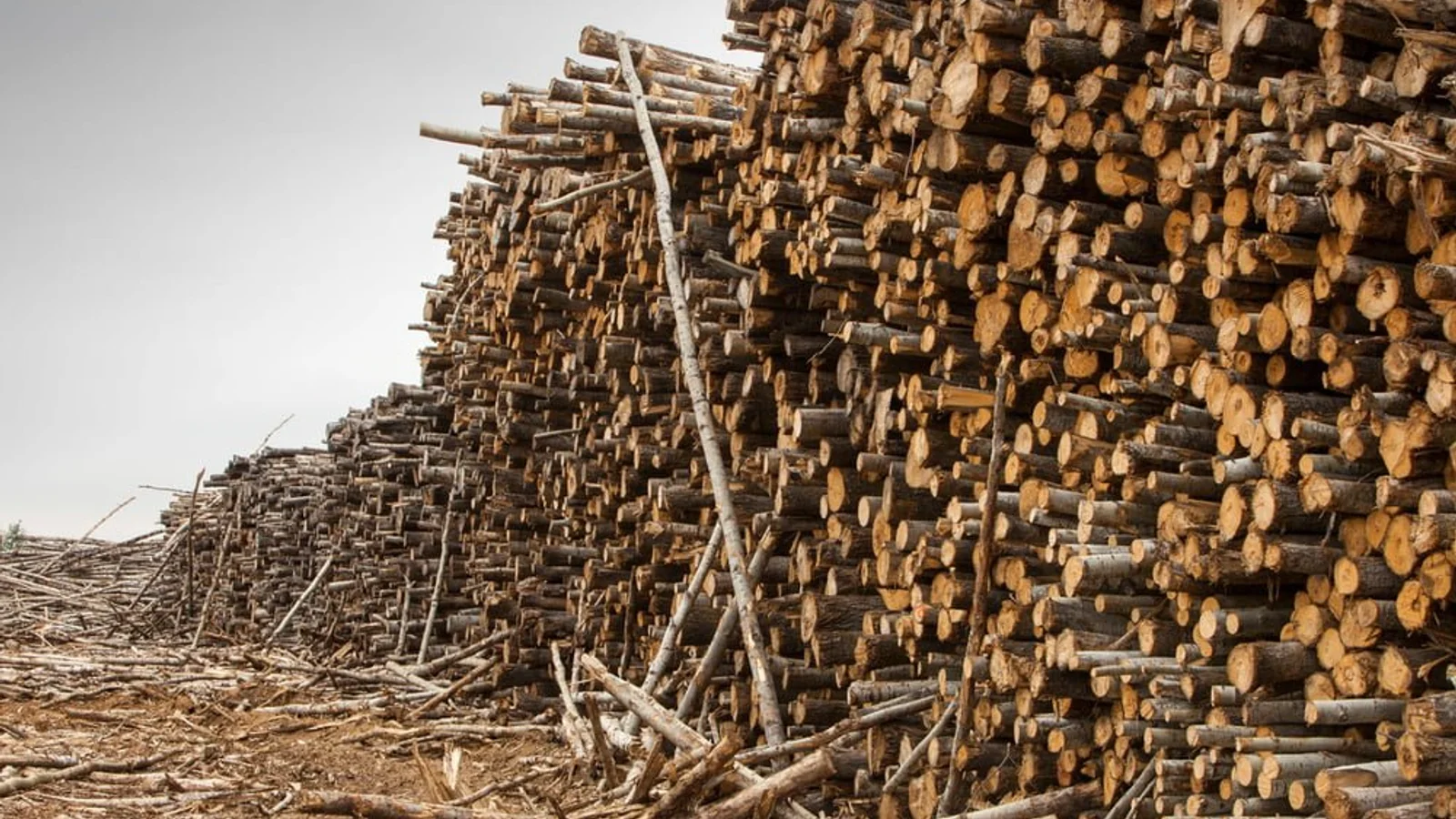 Danmarks naturressourcer for 2023 er snart opbrugt