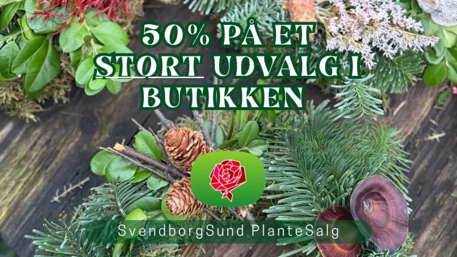 Spar 50 % på planter og pynt hos SvendborgSund PlanteSalg