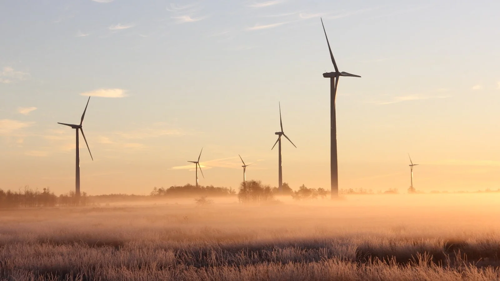 Energikrisen får fynske virksomheder til at sætte fokus på grøn omstilling