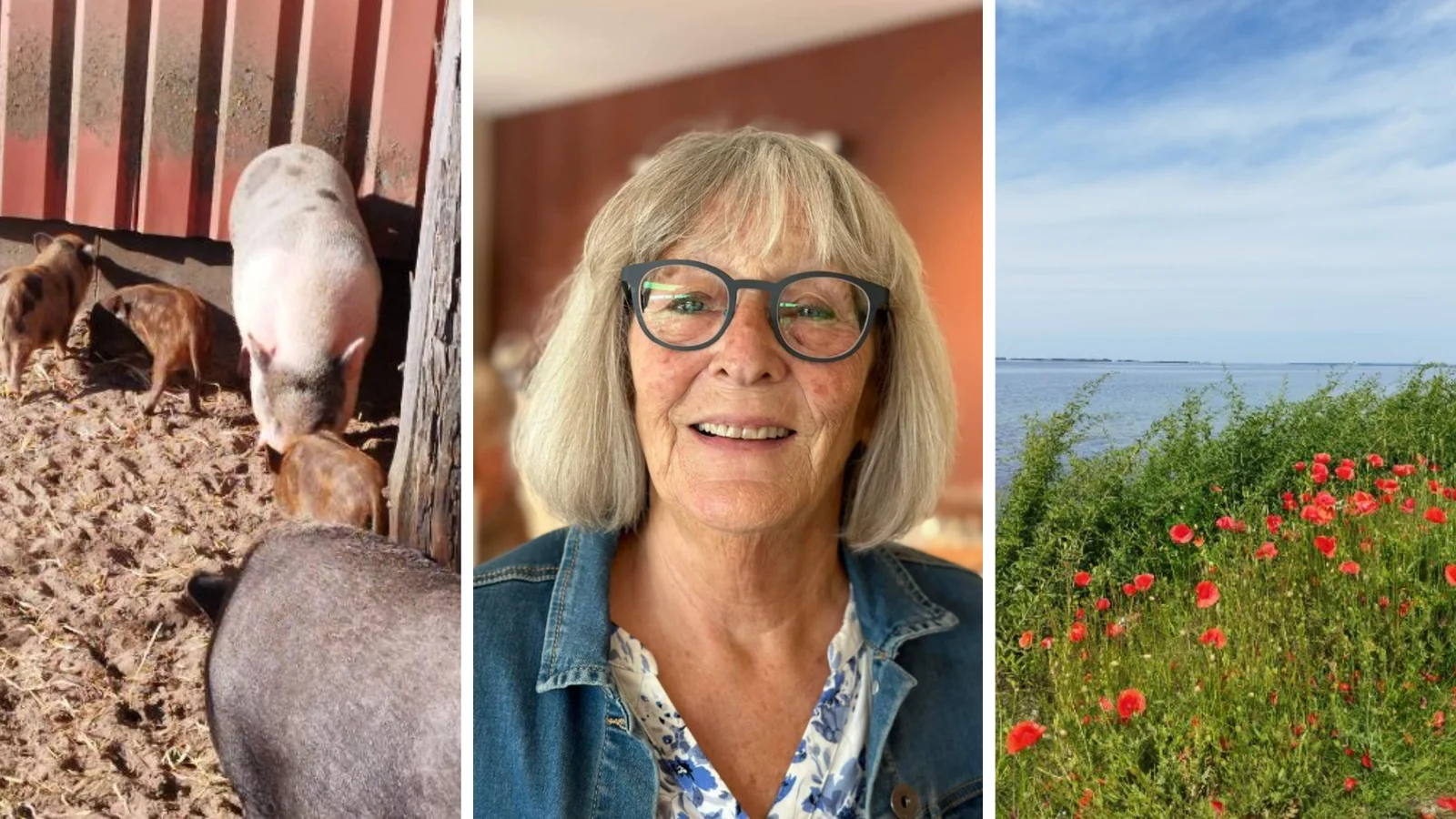 Birgitte fra Assens viser vejen: Bliv venskabsfamilie og gør en forskel
