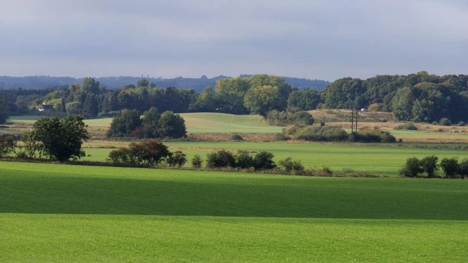 Kæmpe naturprojekt får nu endnu mere plads at boltre sig på