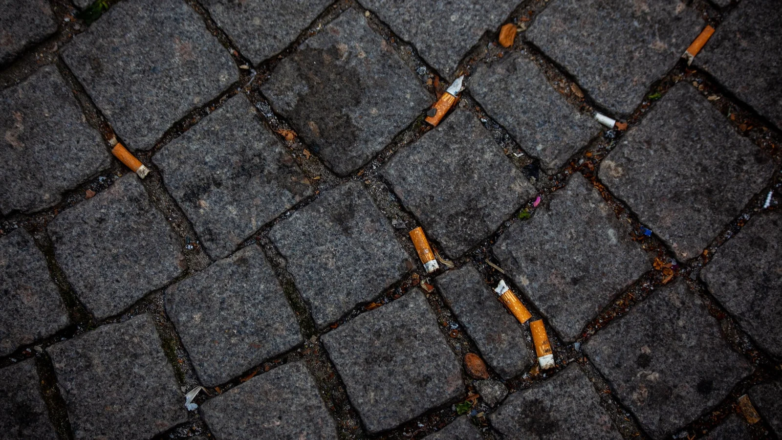 Med nyt samarbejde sætter kommunen ekstra fokus på affaldsfrie lokalområder
