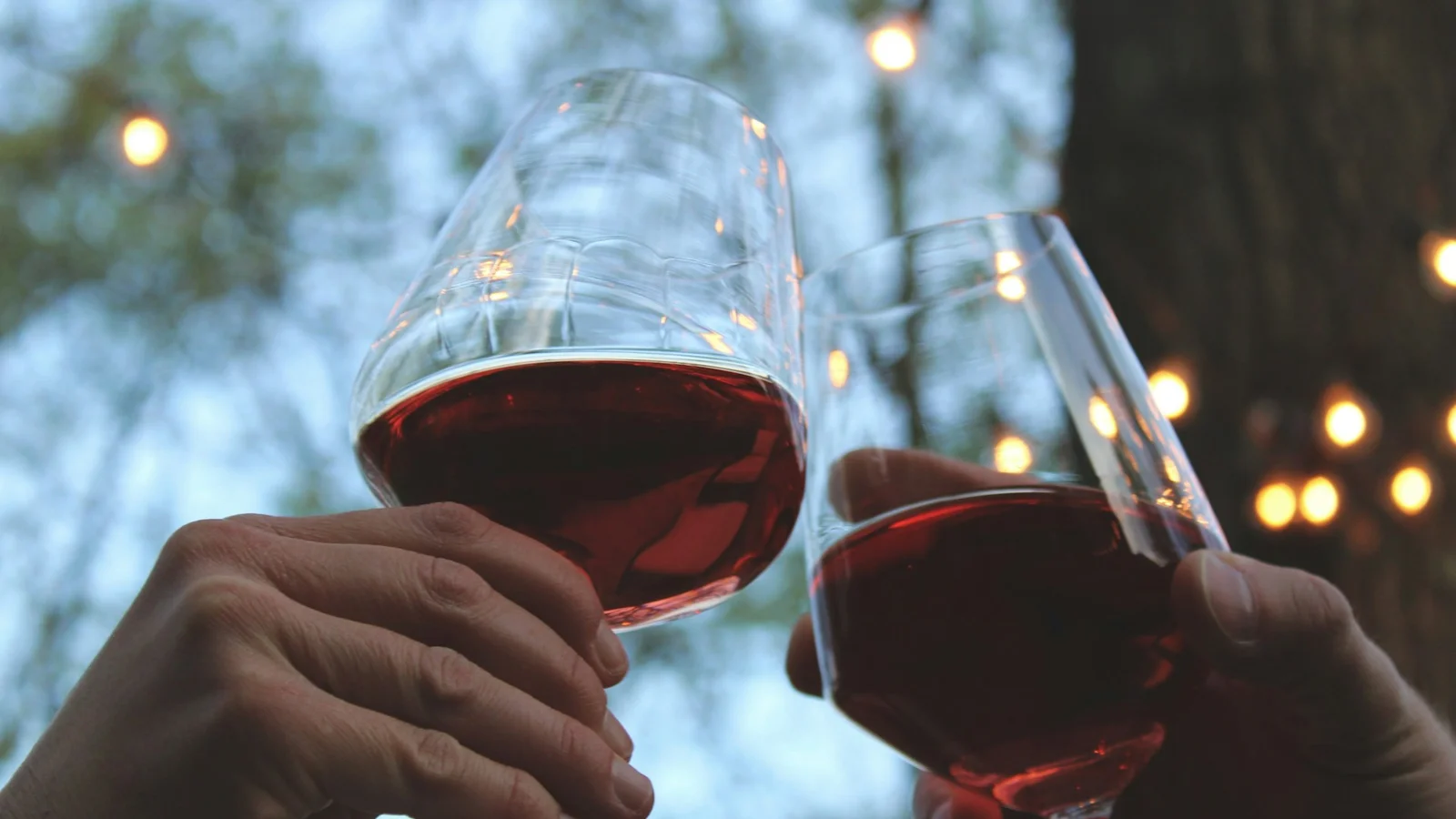 Nye velsmagende tilbud fra Vinspecialisten