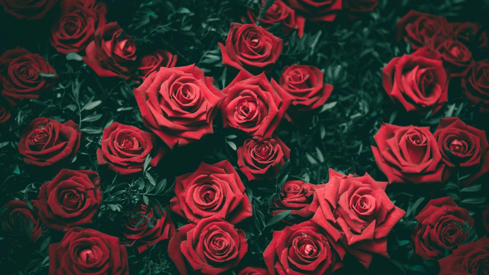 Skal du til konfirmation? Du kan nu bestille både roser og værtindegaver hos Bramsen Blomster og Rens