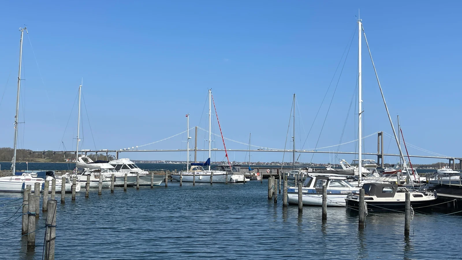 Middelfart får både ros og ris af virksomhederne i ny DI undersøgelse